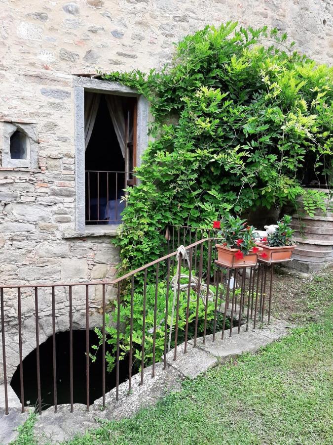 Agriturismo Frantoio Valiani Cortona Kültér fotó