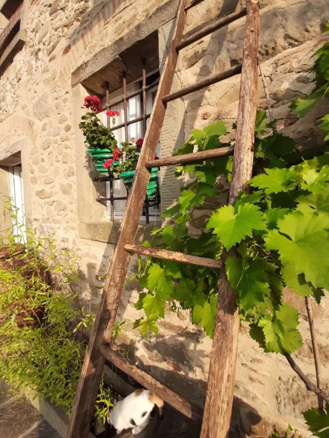Agriturismo Frantoio Valiani Cortona Kültér fotó