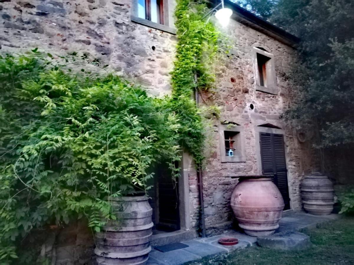 Agriturismo Frantoio Valiani Cortona Kültér fotó