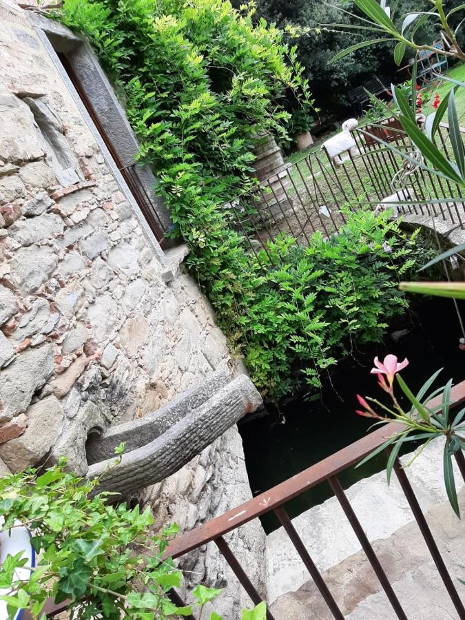 Agriturismo Frantoio Valiani Cortona Kültér fotó