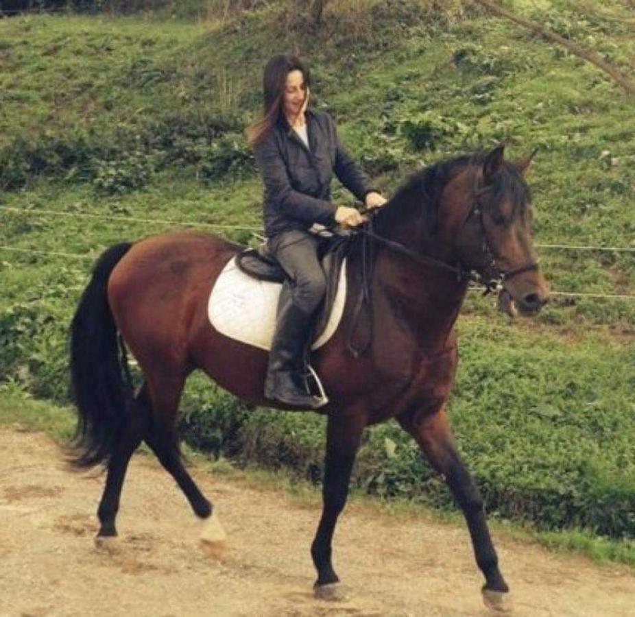Agriturismo Frantoio Valiani Cortona Kültér fotó